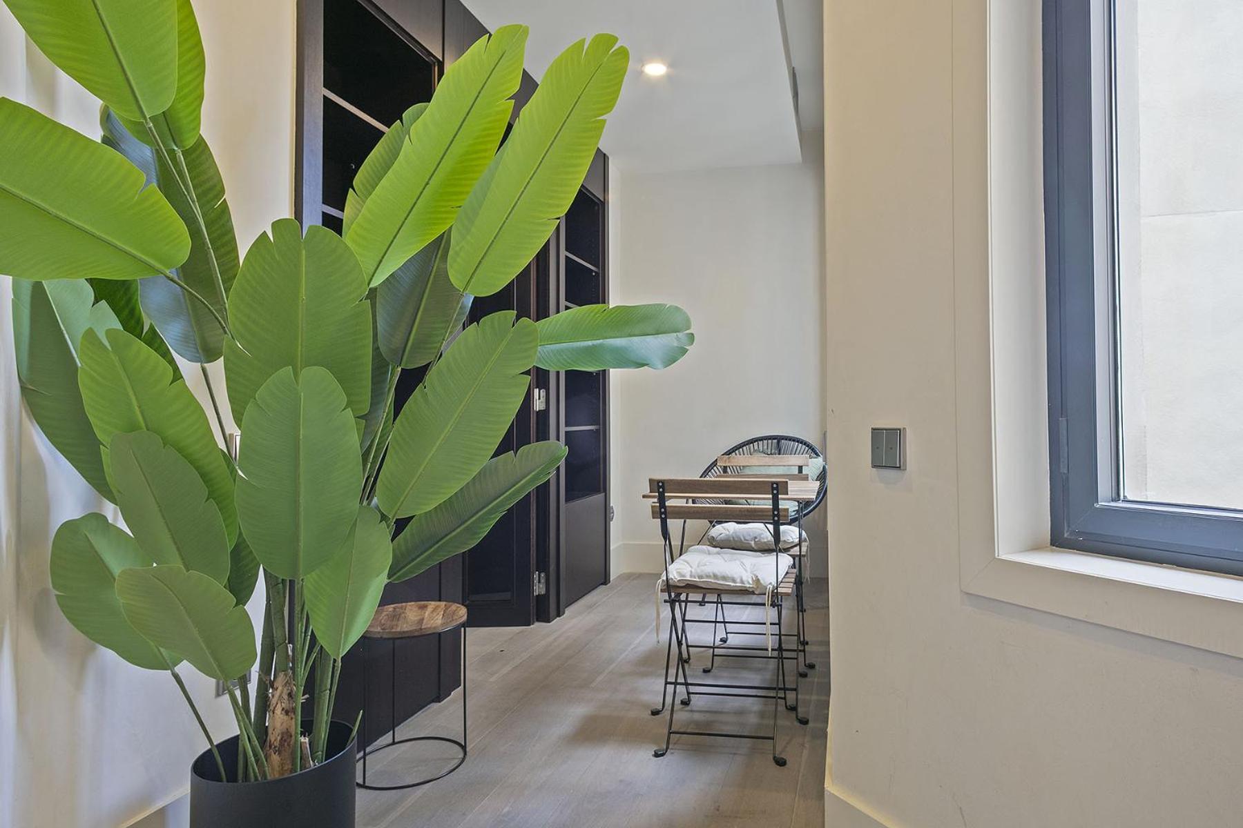 Ola Living Paseo De Gracia Apartman Barcelona Kültér fotó